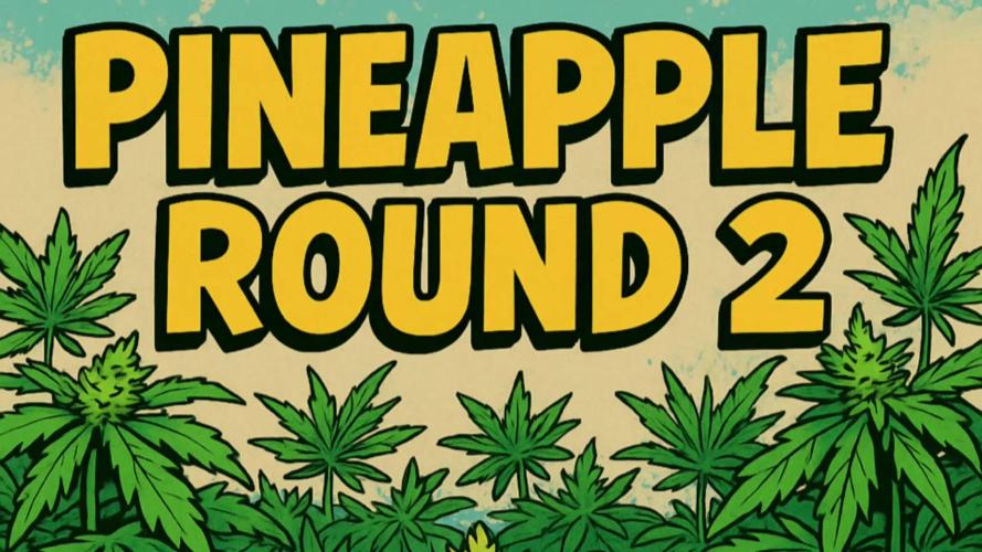 Humboldt Pineapple Round2