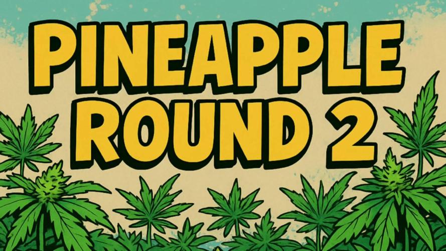 Humboldt Pineapple Round2