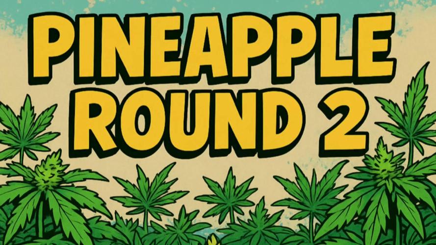 Humboldt Pineapple Round2