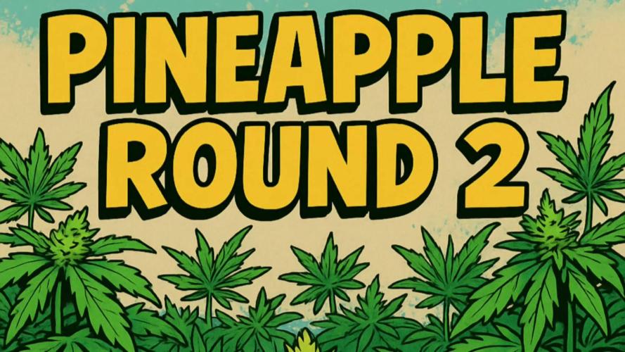Humboldt Pineapple Round2