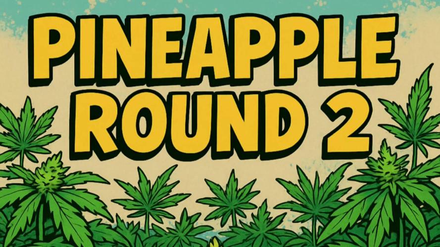 Humboldt Pineapple Round2