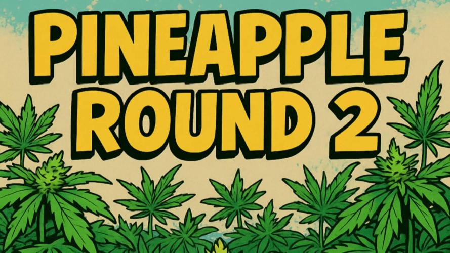 Humboldt Pineapple Round2