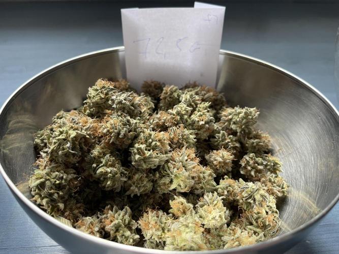 Pineapple Upside Down Cake Autopot. Week 31