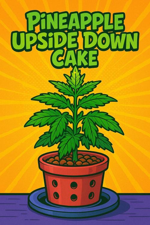 Pineapple Upside Down Cake Autopot. Week 31