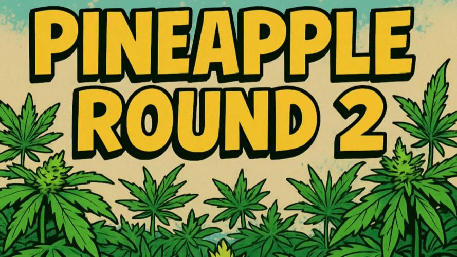 Humboldt Pineapple Round2