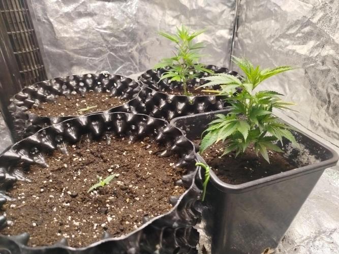 First Indoor. Week 0