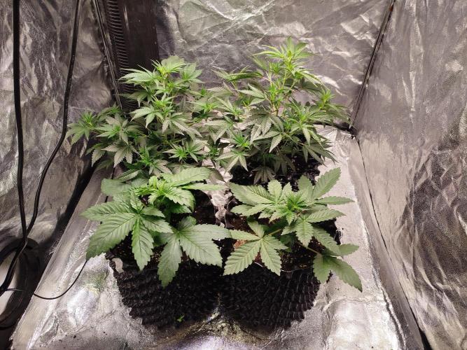 First Indoor. Week 1