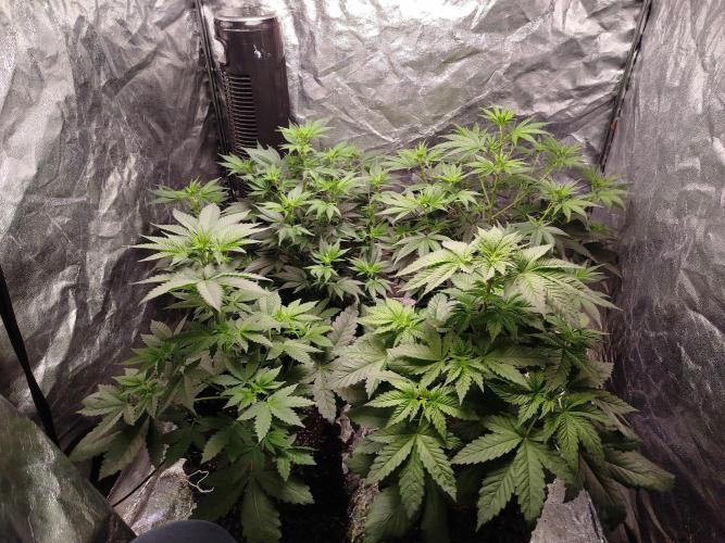 First Indoor. Week 6