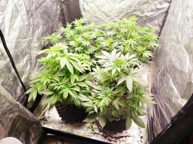 First Indoor. Week 6