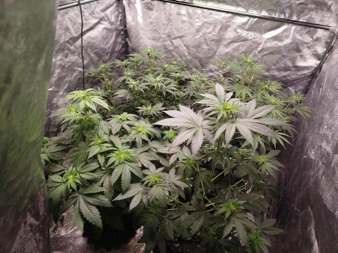 First Indoor. Week 8