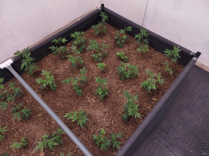 Living Soil 1- CFK - A.T.A. Week 1