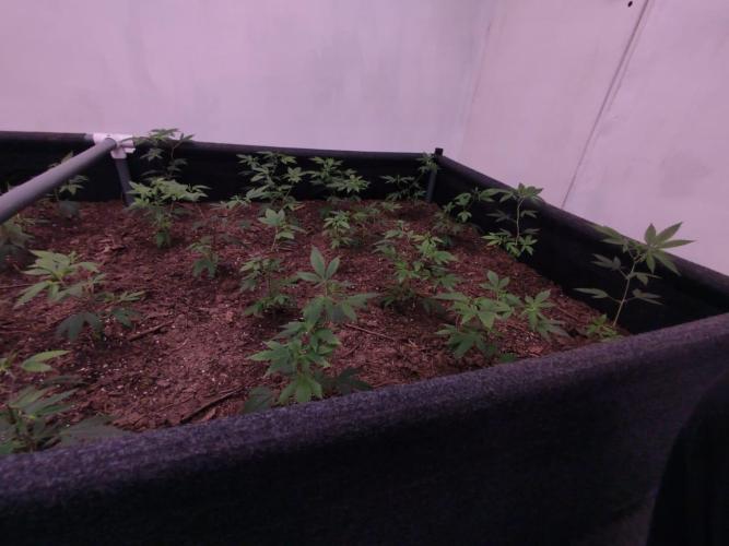 Living Soil 1- CFK - A.T.A. Week 1