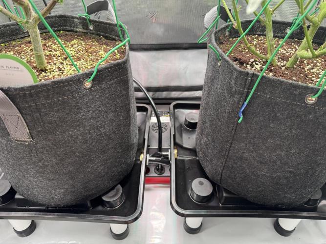 2X3 Baby Yoda & Ice Cream Cake. Week 6 - Upgraded the drainage system, 12/15