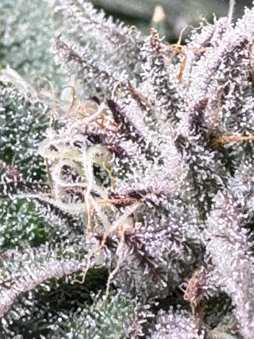 Baby Yoda & Ice Cream Cake. Week 13