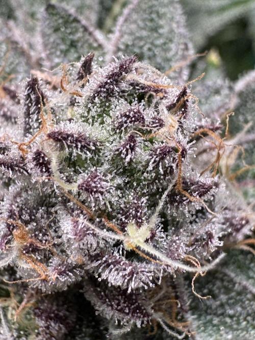 Baby Yoda & Ice Cream Cake. Week 13