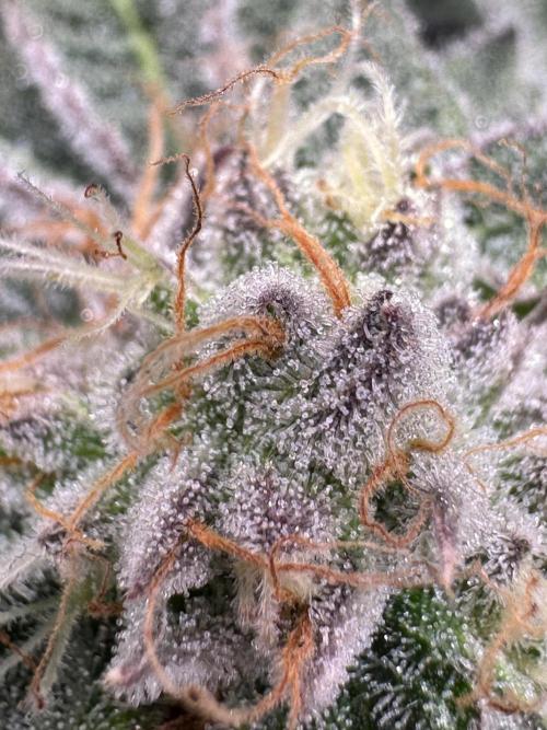 Baby Yoda & Ice Cream Cake. Week 13