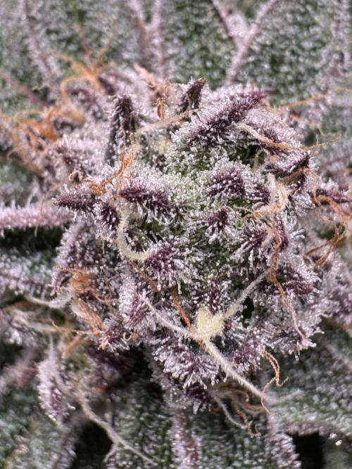 Baby Yoda & Ice Cream Cake. Week 13