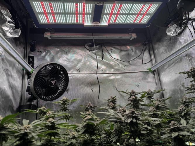 Baby Yoda & Ice Cream Cake. Week 14