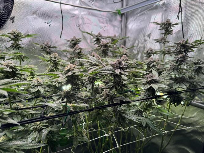 Baby Yoda & Ice Cream Cake. Week 14