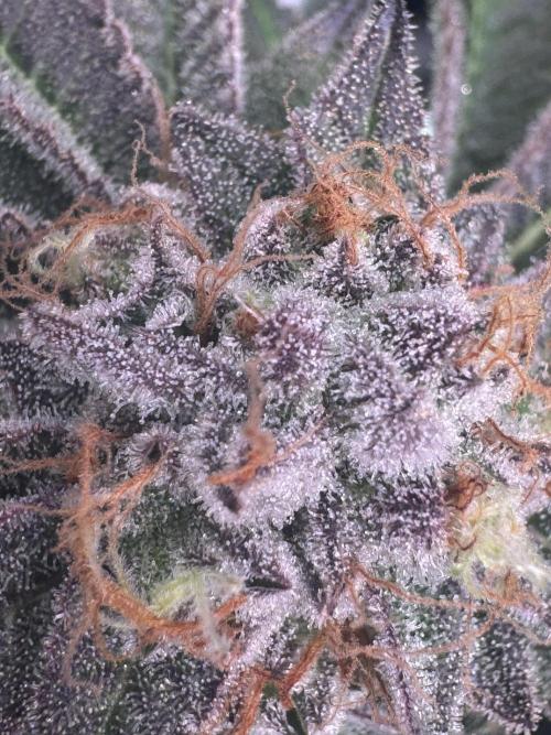 Baby Yoda & Ice Cream Cake. Week 15