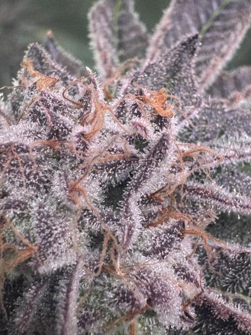 Baby Yoda & Ice Cream Cake. Week 15