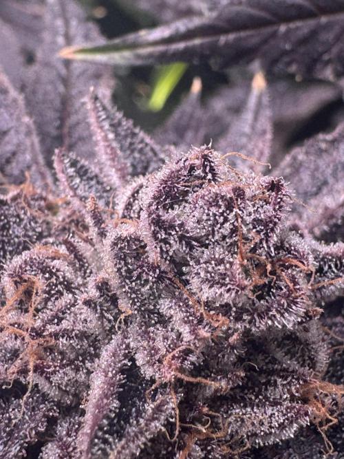 Baby Yoda & Ice Cream Cake. Week 15