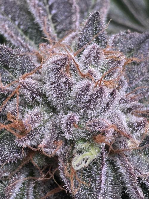 Baby Yoda & Ice Cream Cake. Week 15