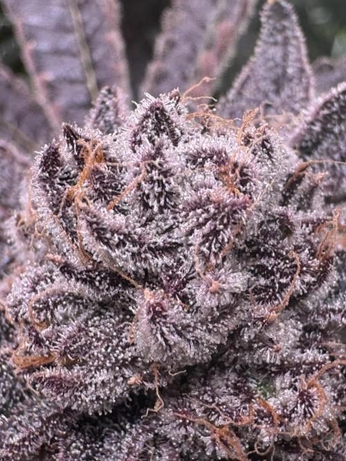 Baby Yoda & Ice Cream Cake. Week 15