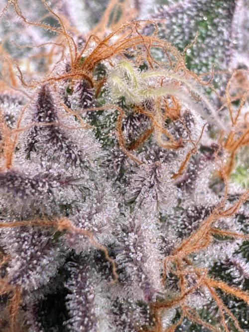 Baby Yoda & Ice Cream Cake. Week 15