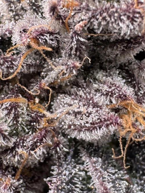 Baby Yoda & Ice Cream Cake. Week 15