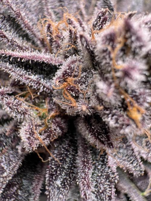 Baby Yoda & Ice Cream Cake. Week 15