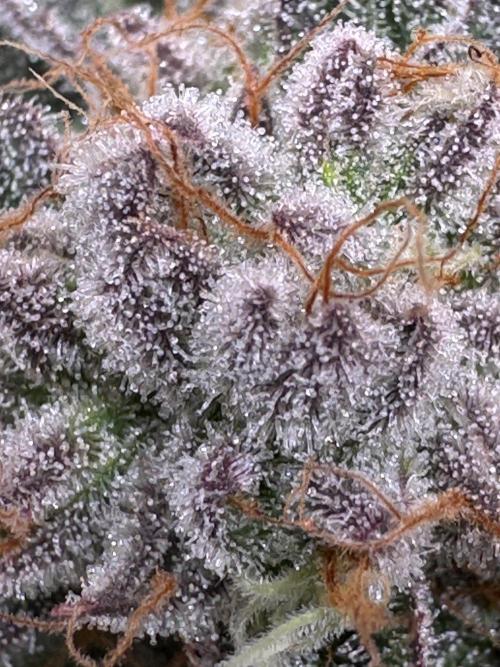 Baby Yoda & Ice Cream Cake. Week 15