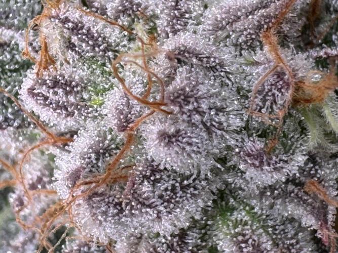 Baby Yoda & Ice Cream Cake. Week 15