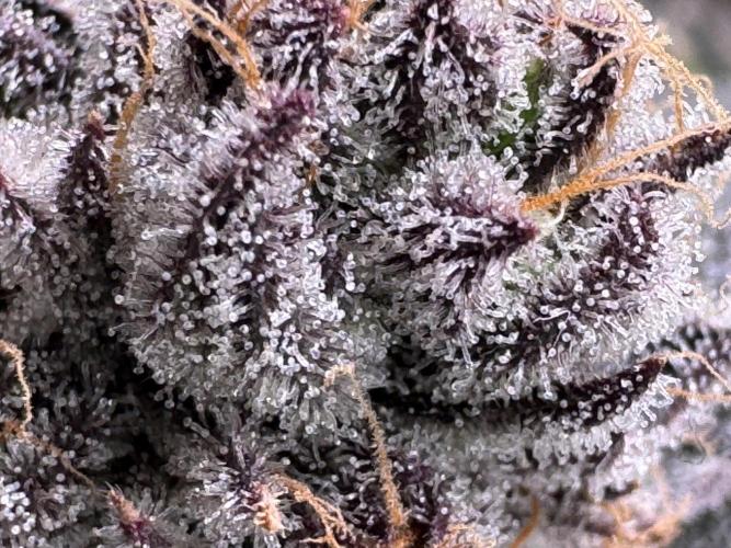 Baby Yoda & Ice Cream Cake. Week 15