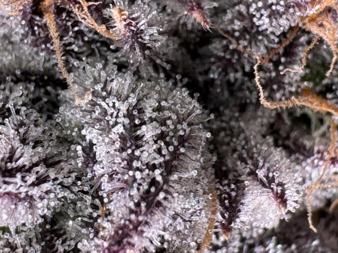 Baby Yoda & Ice Cream Cake. Week 15