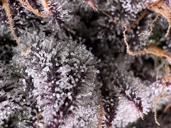 Baby Yoda & Ice Cream Cake. Week 15