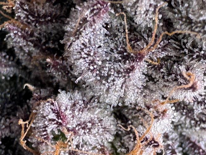 Baby Yoda & Ice Cream Cake. Week 15