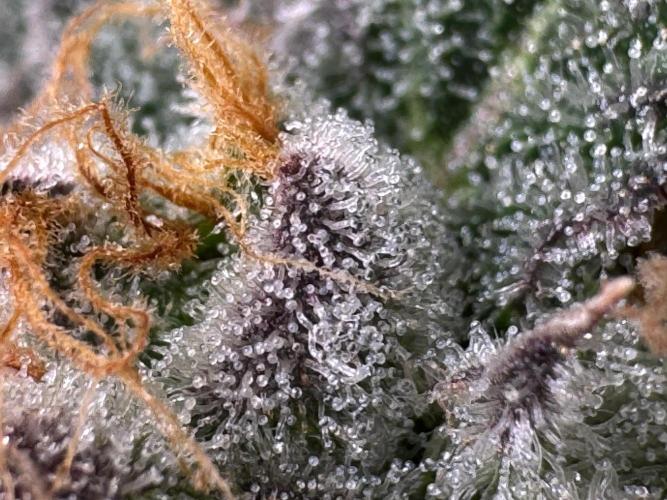 Baby Yoda & Ice Cream Cake. Week 15