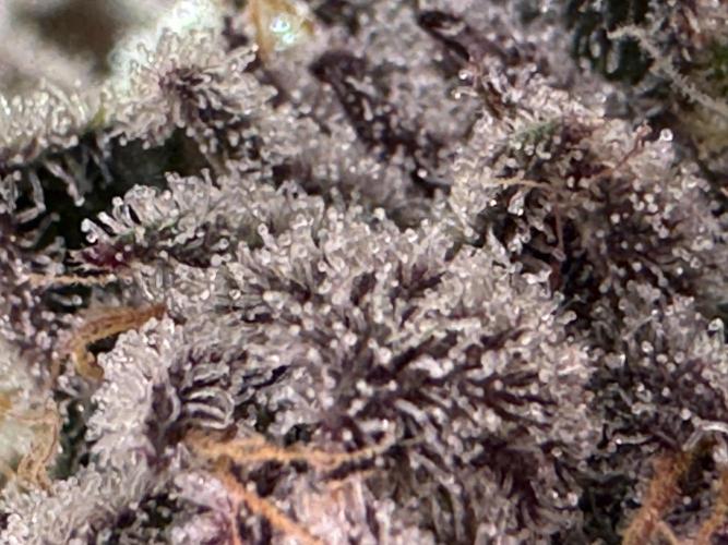 Baby Yoda & Ice Cream Cake. Week 15