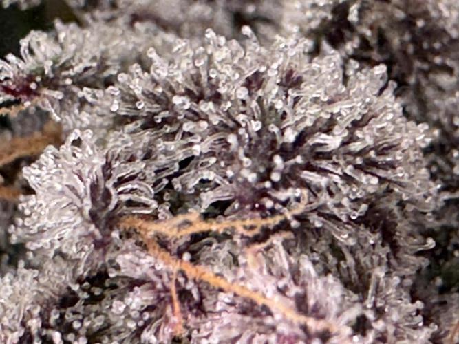 Baby Yoda & Ice Cream Cake. Week 15