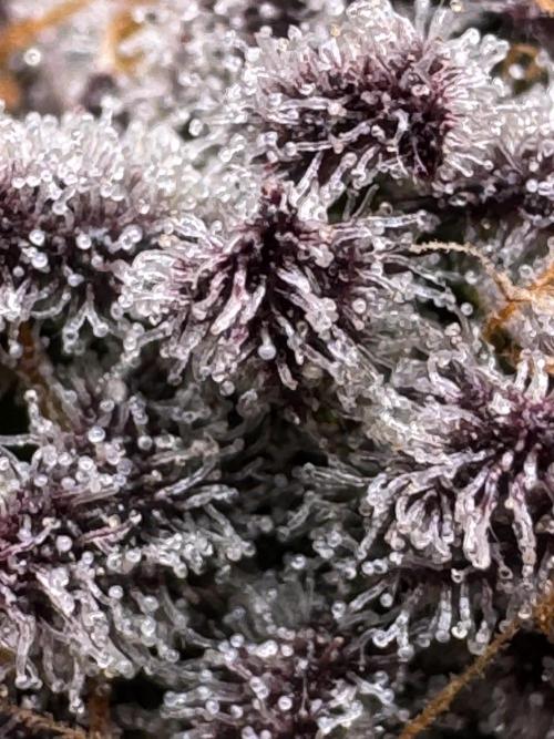 Baby Yoda & Ice Cream Cake. Week 15