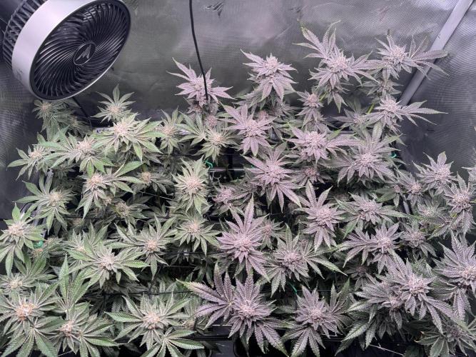 Baby Yoda & Ice Cream Cake. Week 15