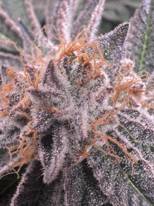 Baby Yoda & Ice Cream Cake. Week 16