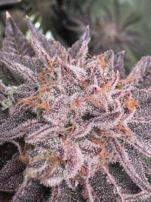 Baby Yoda & Ice Cream Cake. Week 16