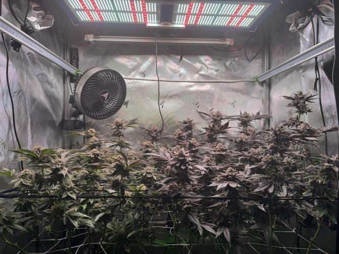 Baby Yoda & Ice Cream Cake. Week 16