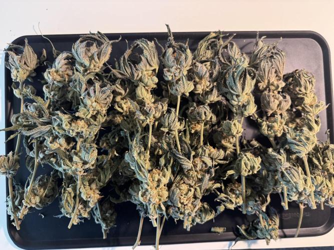 Baby Yoda & Ice Cream Cake. Week 17