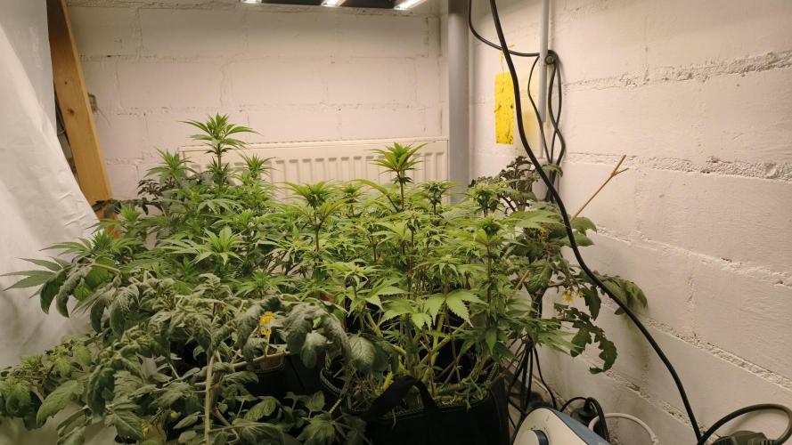 2026 1. Grow. Week 14
