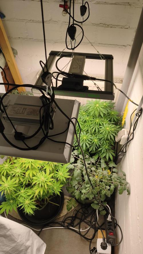 2026 1. Grow. Week 14
