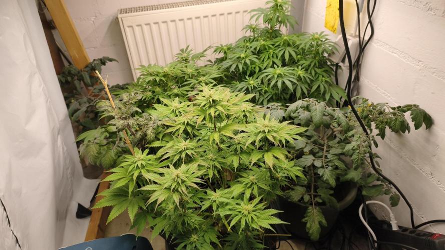 2026 1. Grow. Week 14