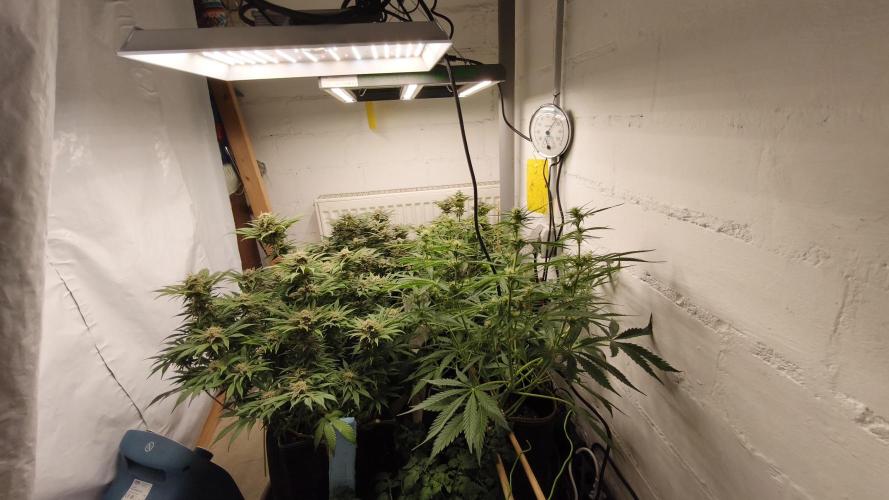 2026 1. Grow. Week 18